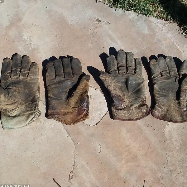 Opera Length Leather Gloves
