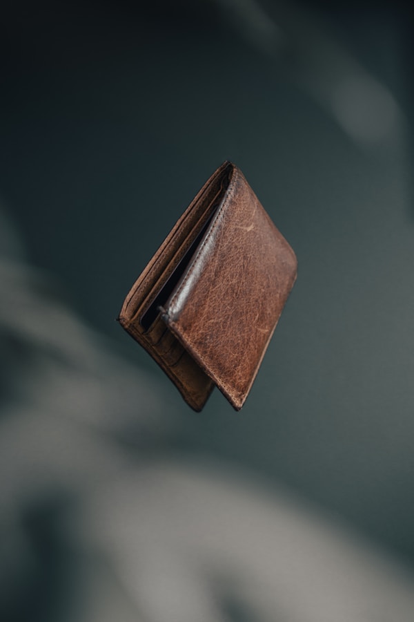 Travel Passport Wallet